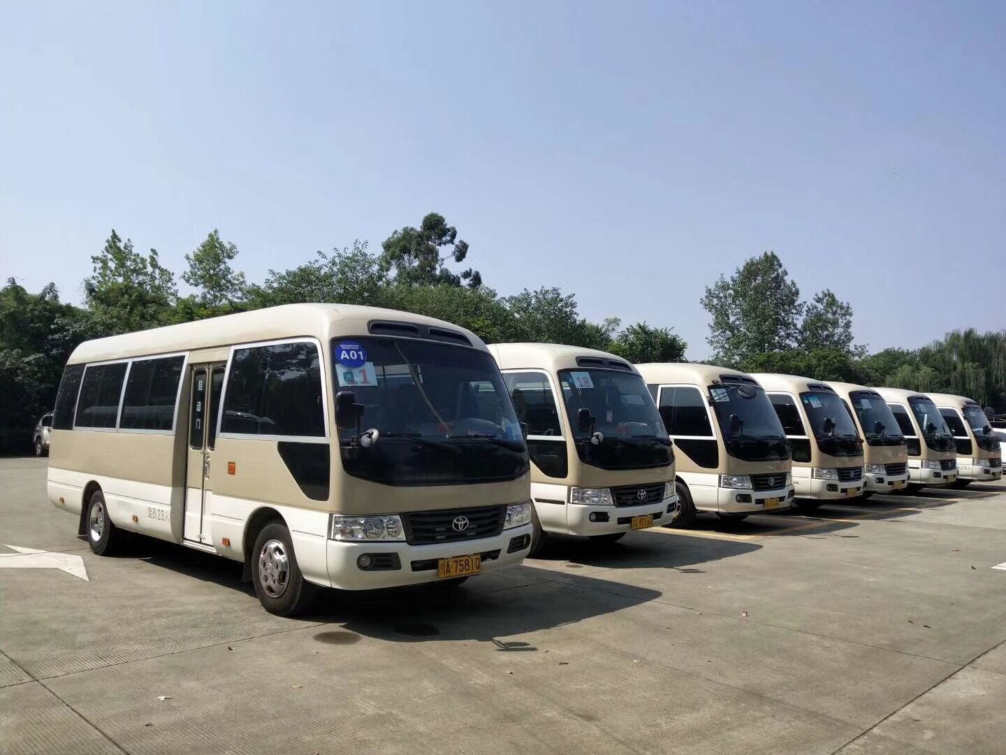 1542952868510636.jpg 1542952868510636.jpg