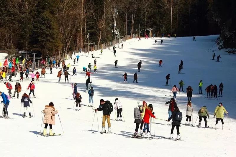 畢棚溝滑雪場(chǎng) 畢棚溝滑雪場(chǎng)