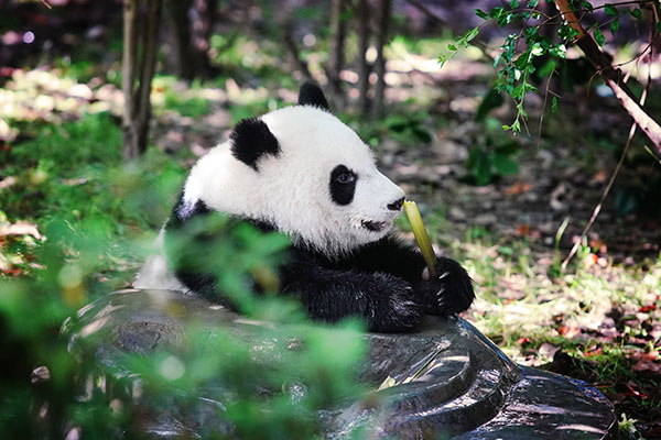 五一旅游租車 五一旅游租車