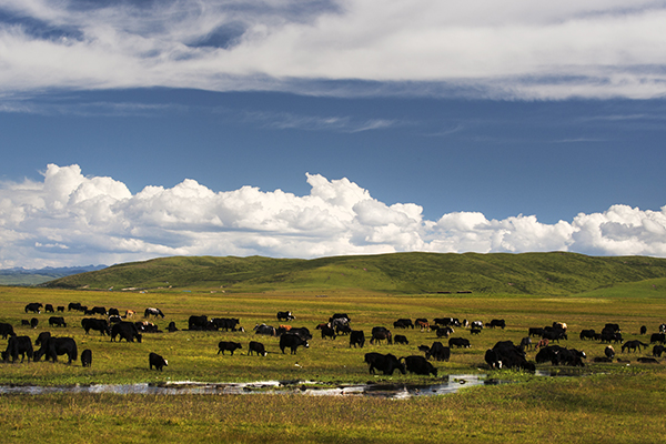 318川藏線租車自駕游 318川藏線租車自駕游